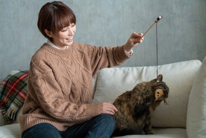 猫じゃらしで遊ぶ女性と猫