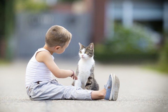 猫の目を見つめる男の子