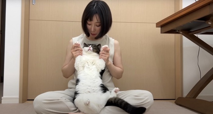 猫(万歳)と人間