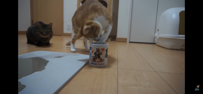 飲む