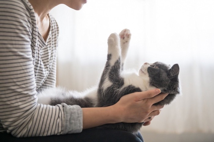 猫と飼い主