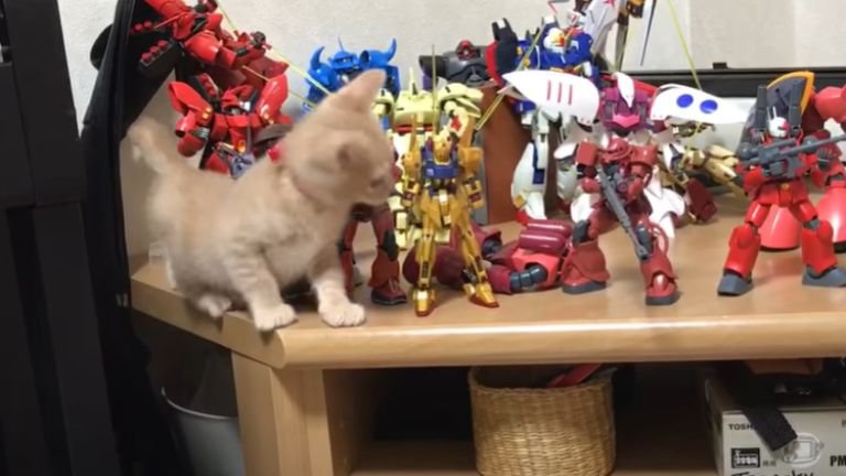 ガンプラの隙間を進む猫