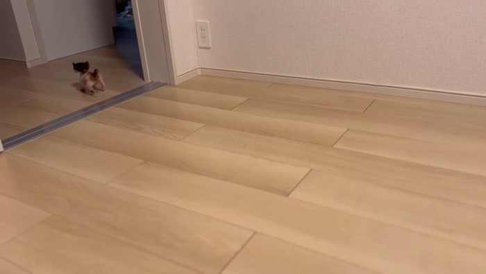 お部屋の外へ向かうつむぎちゃん