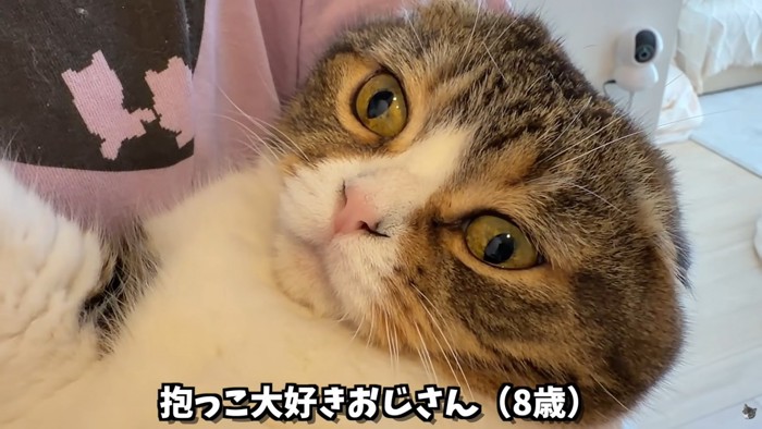 テロップ「抱っこ大好き~」