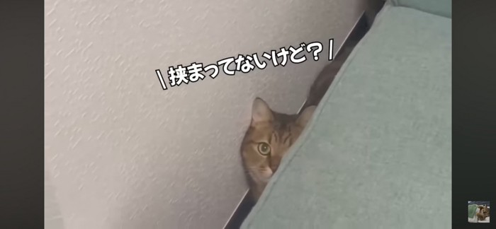 余裕？