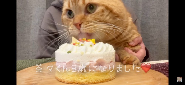 誕生日