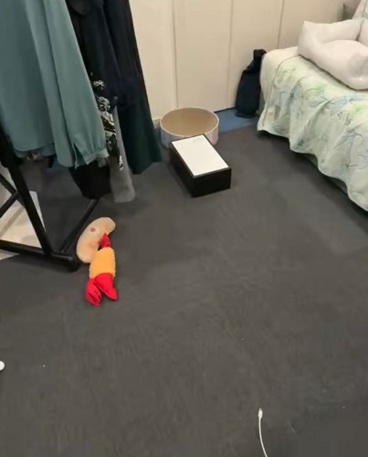 部屋の中
