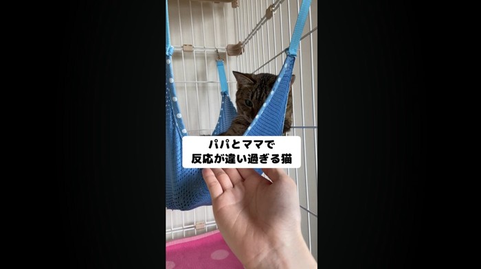パパとママで
