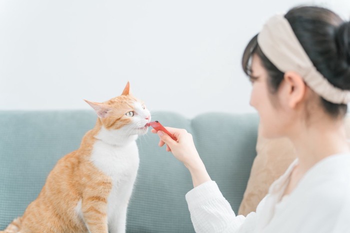 女性と猫