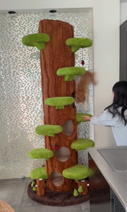 キャットタワーから落ちる猫