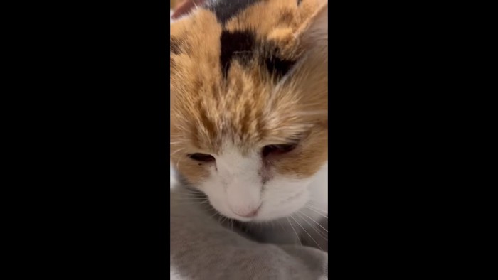 顔のアップ