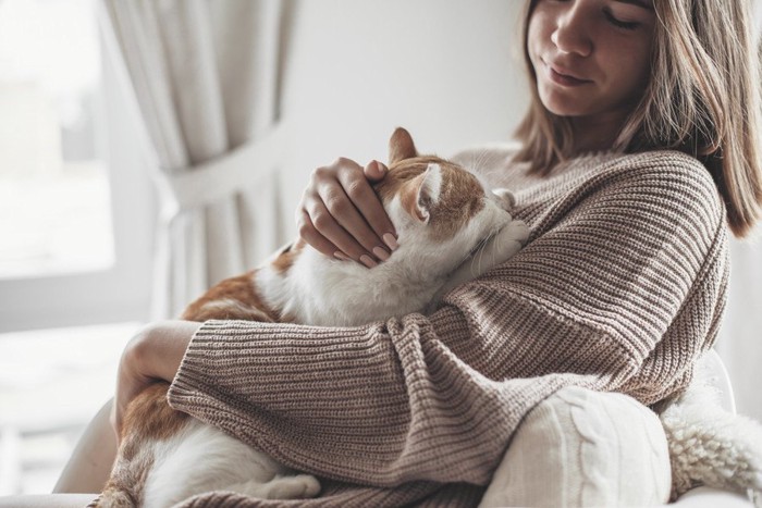 女性に寄りかかる猫