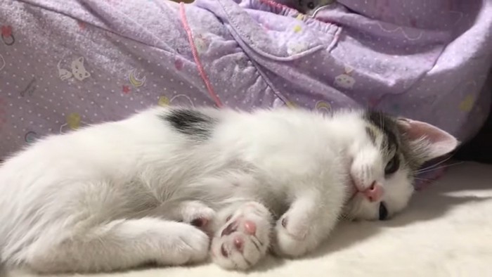 眠い