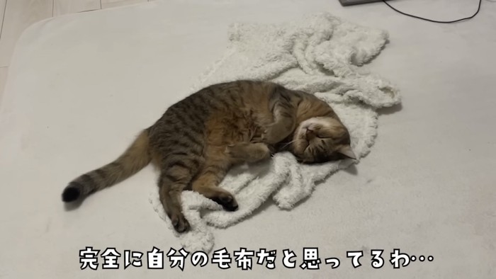 「完全に自分の...」のテロップ写真