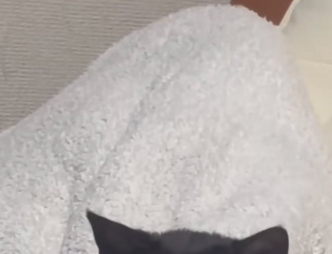 椅子の背もたれ