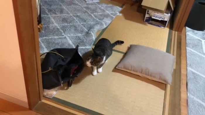 伏せ