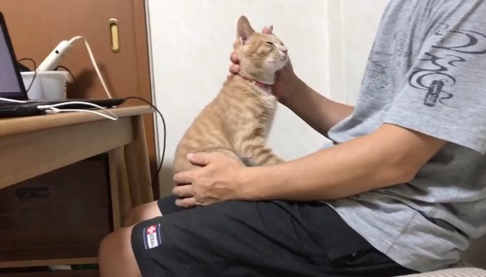 向かい合って気持ち良さそうな顔のひのきちゃん