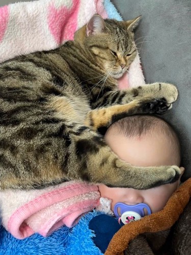赤ちゃんの顔に後ろ足を乗せる猫