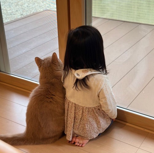 並ぶ猫と女の子