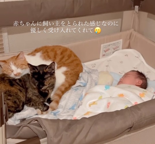 ベッドで一緒に眠ることも