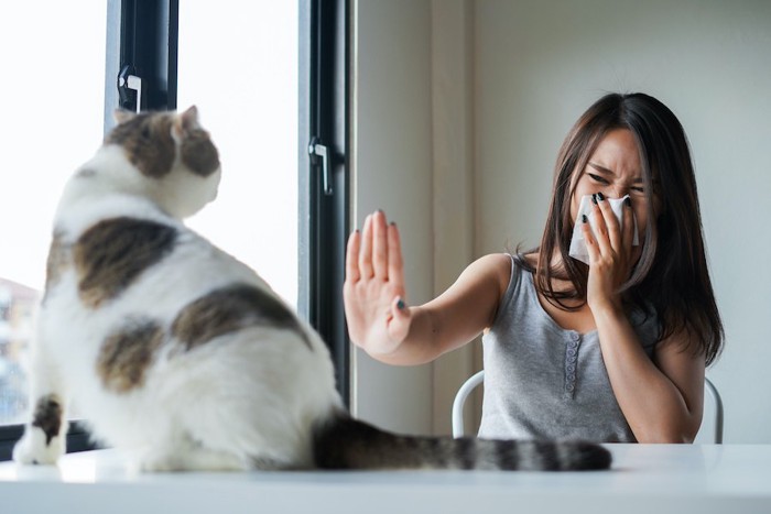 ティッシュで鼻を押さえて猫を拒否する女性