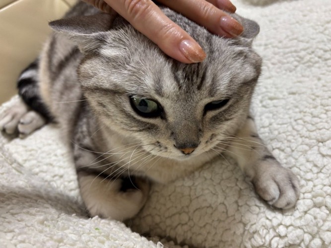どういうこと？
