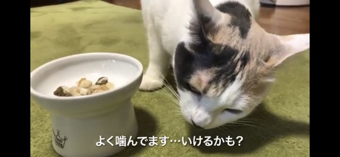 少しずつ食べるように