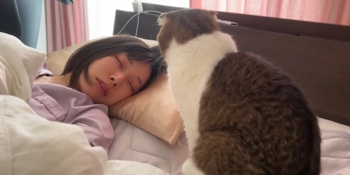 寝ている飼い主を見つめる猫