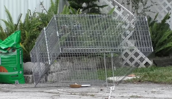 上から落ちる捕獲器