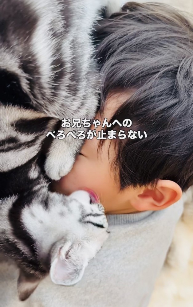 お兄ちゃんの顔を舐める子猫