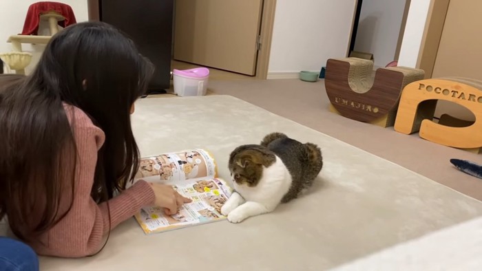 本を見る人と猫