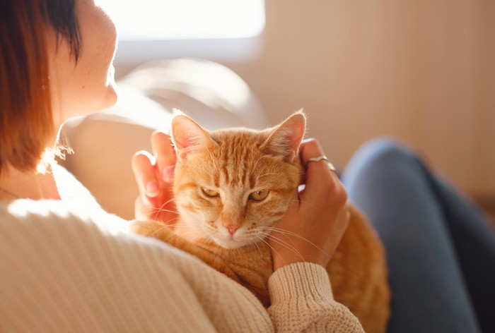 猫を抱っこする人