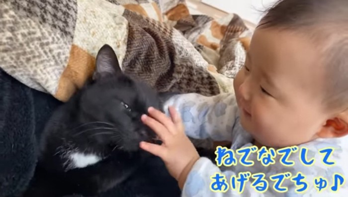 なでなでしてあげるでちゅ