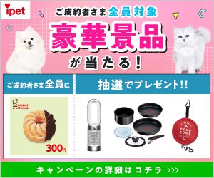 広告
