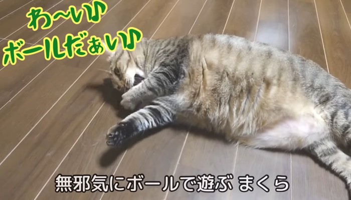 わ〜い