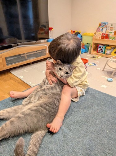 抱きしめられる猫