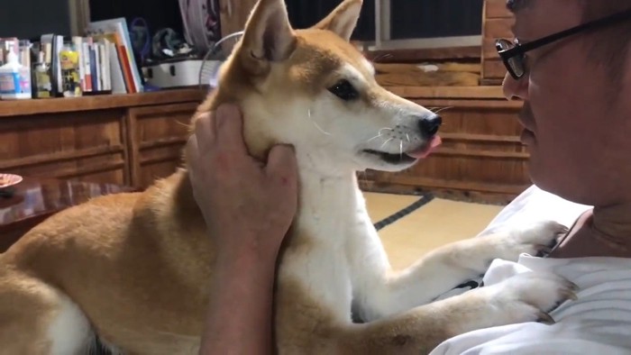 乗ってきたももちゃん