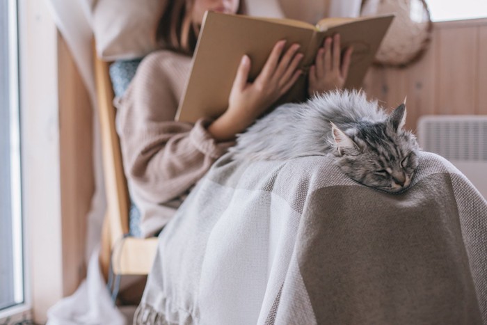 女性の膝の上で眠る猫