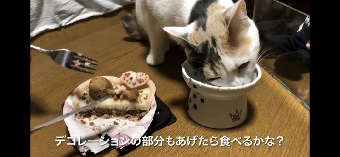 完食