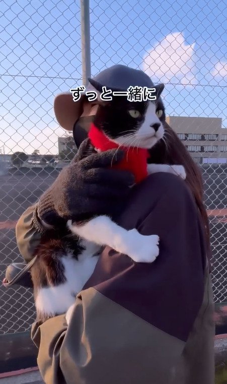 飼い主さんに抱き抱えられる猫