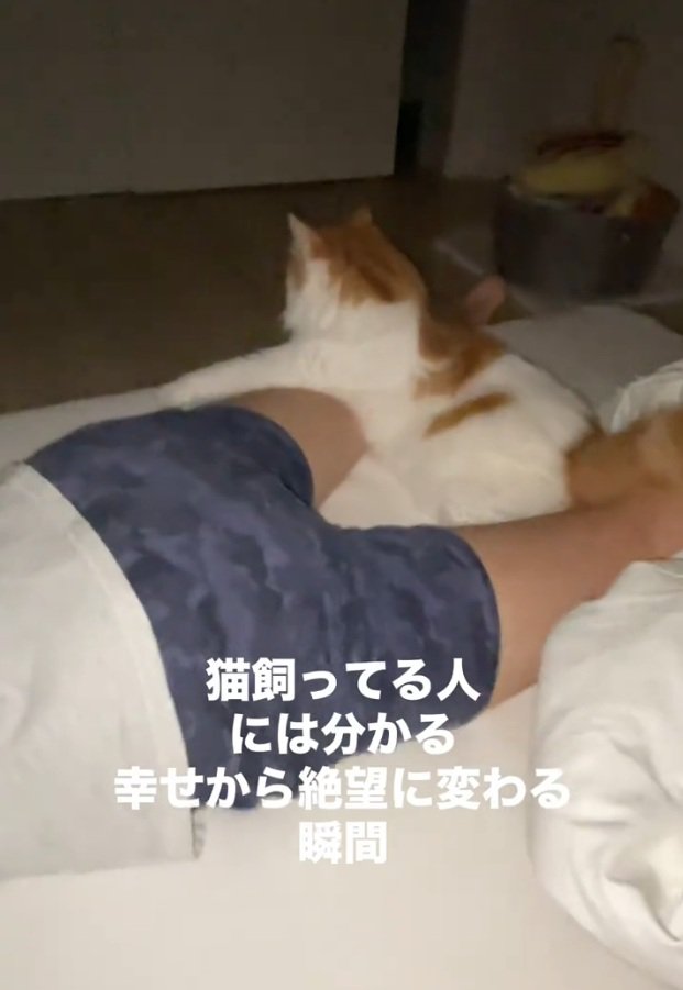 くつろぐポテくん