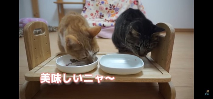 ごちそうさま