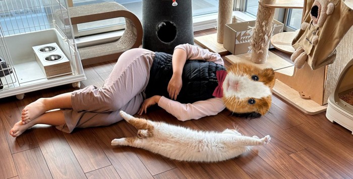 寝転ぶ人と猫
