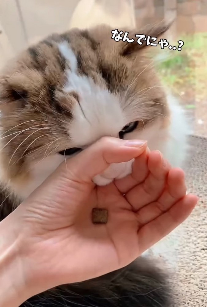 輪っかに口を入れる