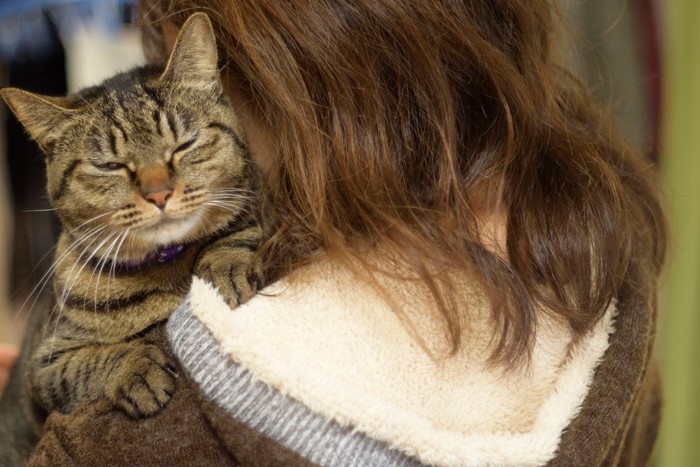 女性に抱っこされて嫌な顔をする猫