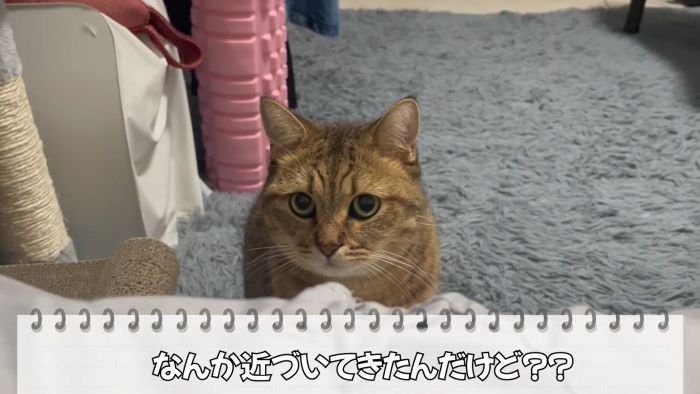 近づいてきたみにらくん