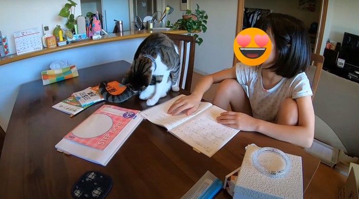 毛づくろいする猫