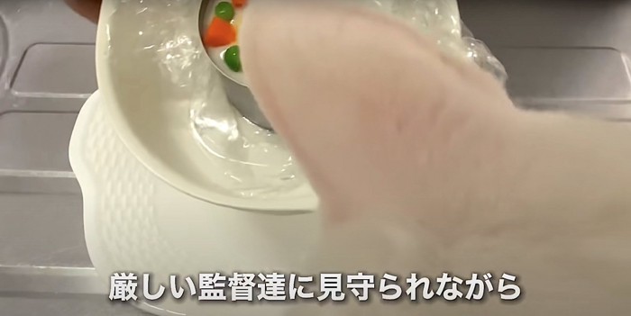 ケーキを見守る猫