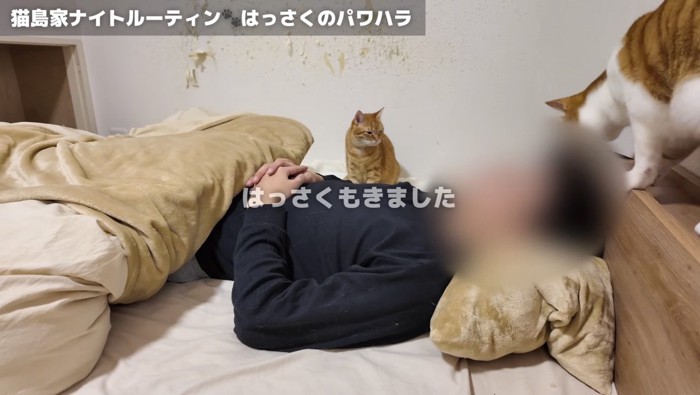 へちまちゃんとはっさくくん