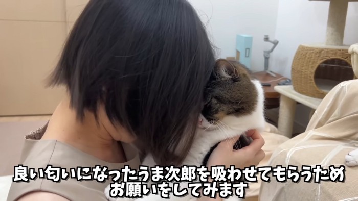 人とおでこをくっつける猫